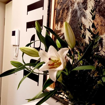 Sky Loft Nuovissimo Vicinanze Metro Daire Torino Dış mekan fotoğraf